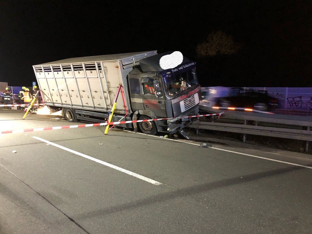 Tiertransport2