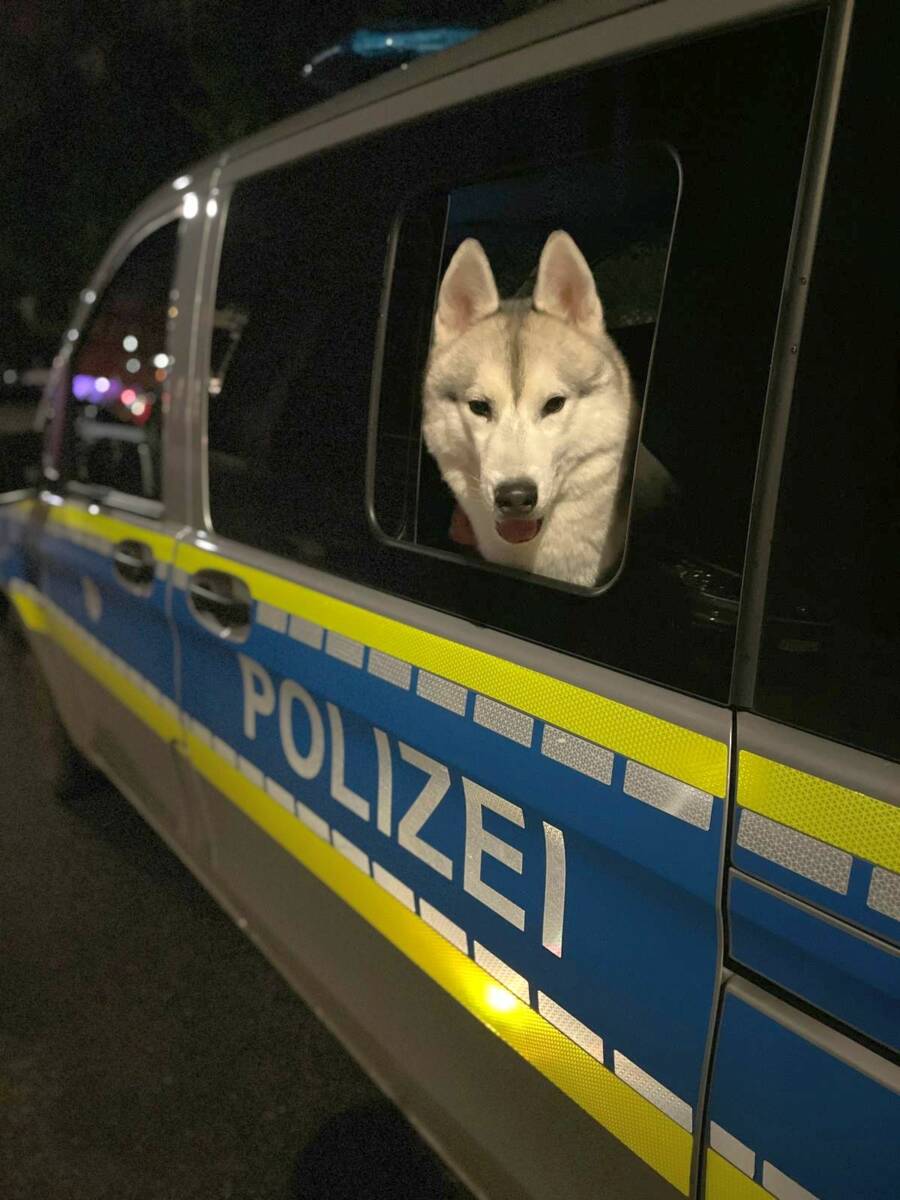 Bild 1 zu 210520-0604