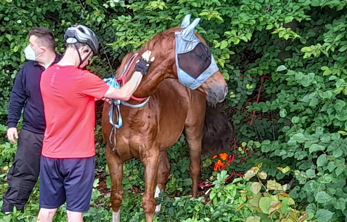 Einsatzfoto Berufsfeuerwehr Mรผnchen