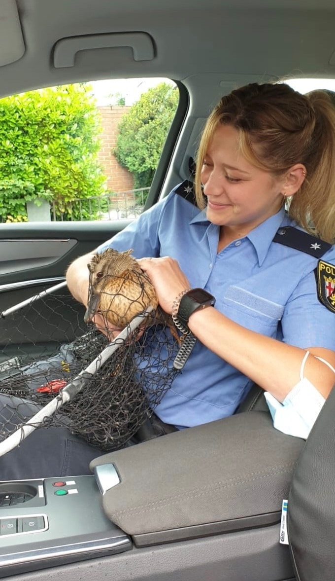 Muttertier in Streifenwagen