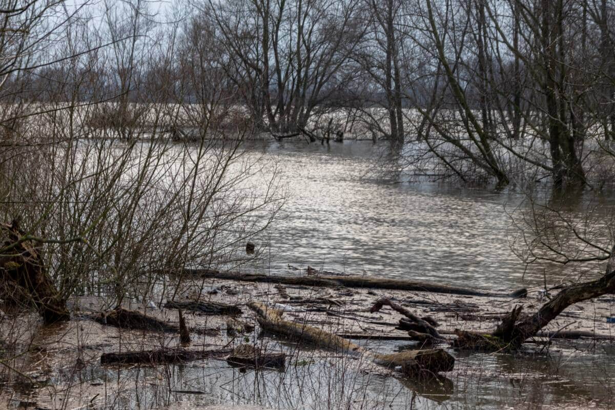 Treibgut Fluss 1