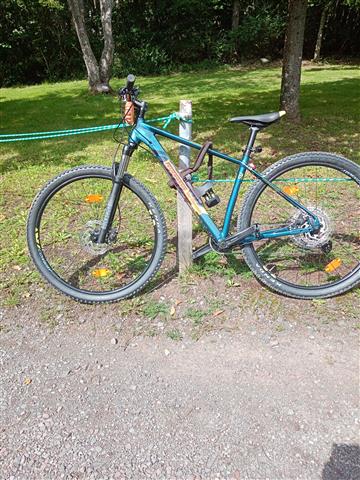 Bild des entwendeten Mountainbikes.