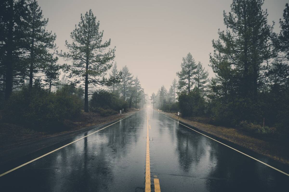 rural-2616834_1280