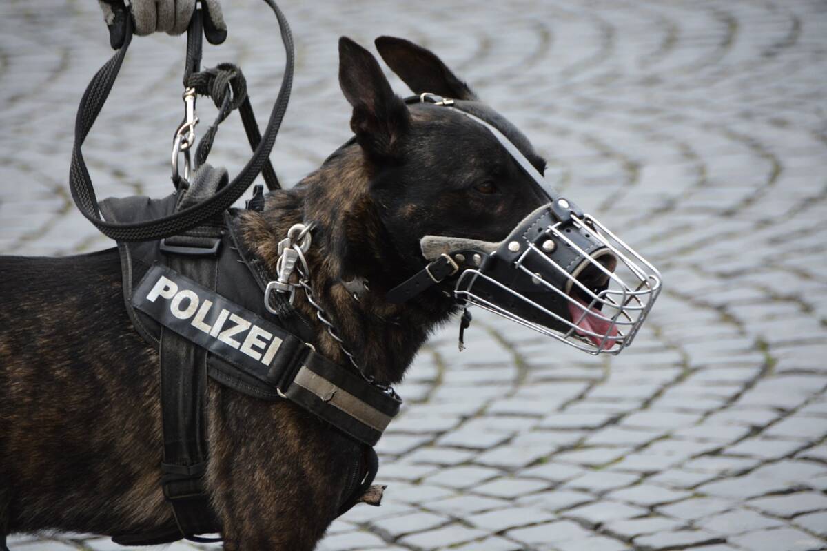 police-1321255_1280