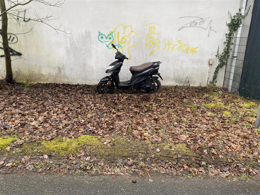 Zeigt den aufgefundenen Roller