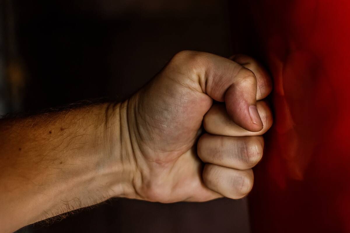fist-1561157_1280