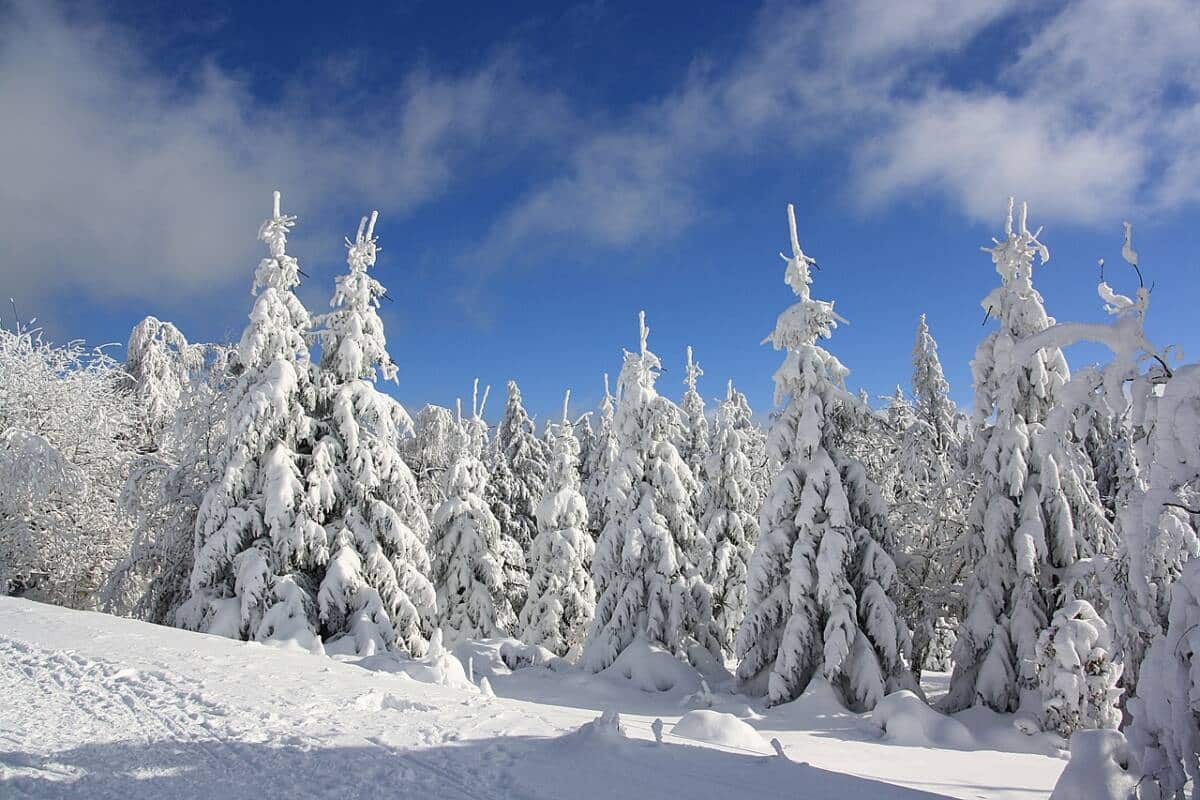 snow-g21634aa25_1280