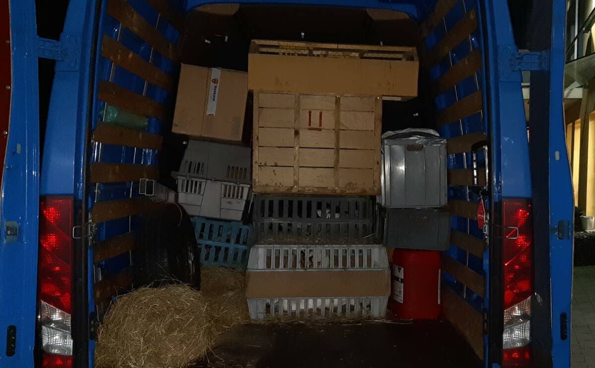 Transporter halb leer