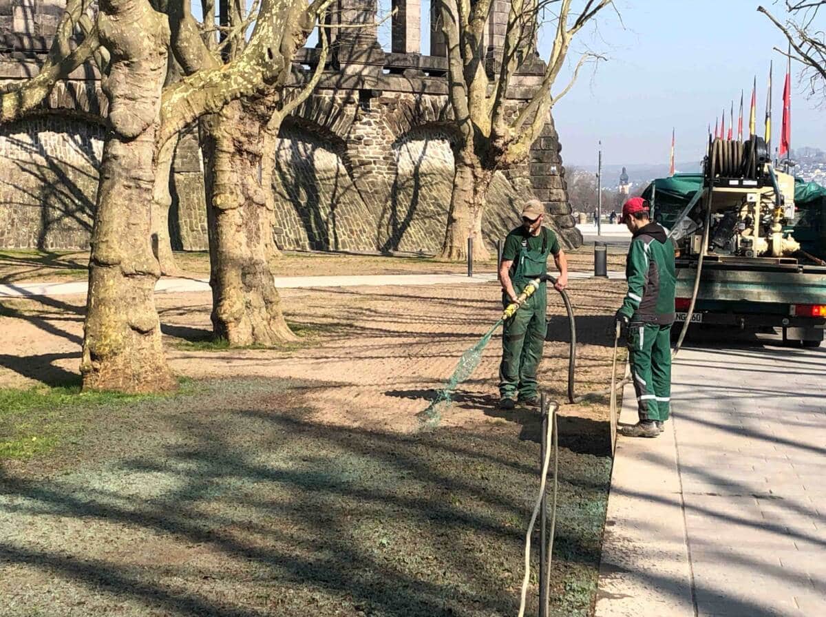 220323_Anspritzbegrünung