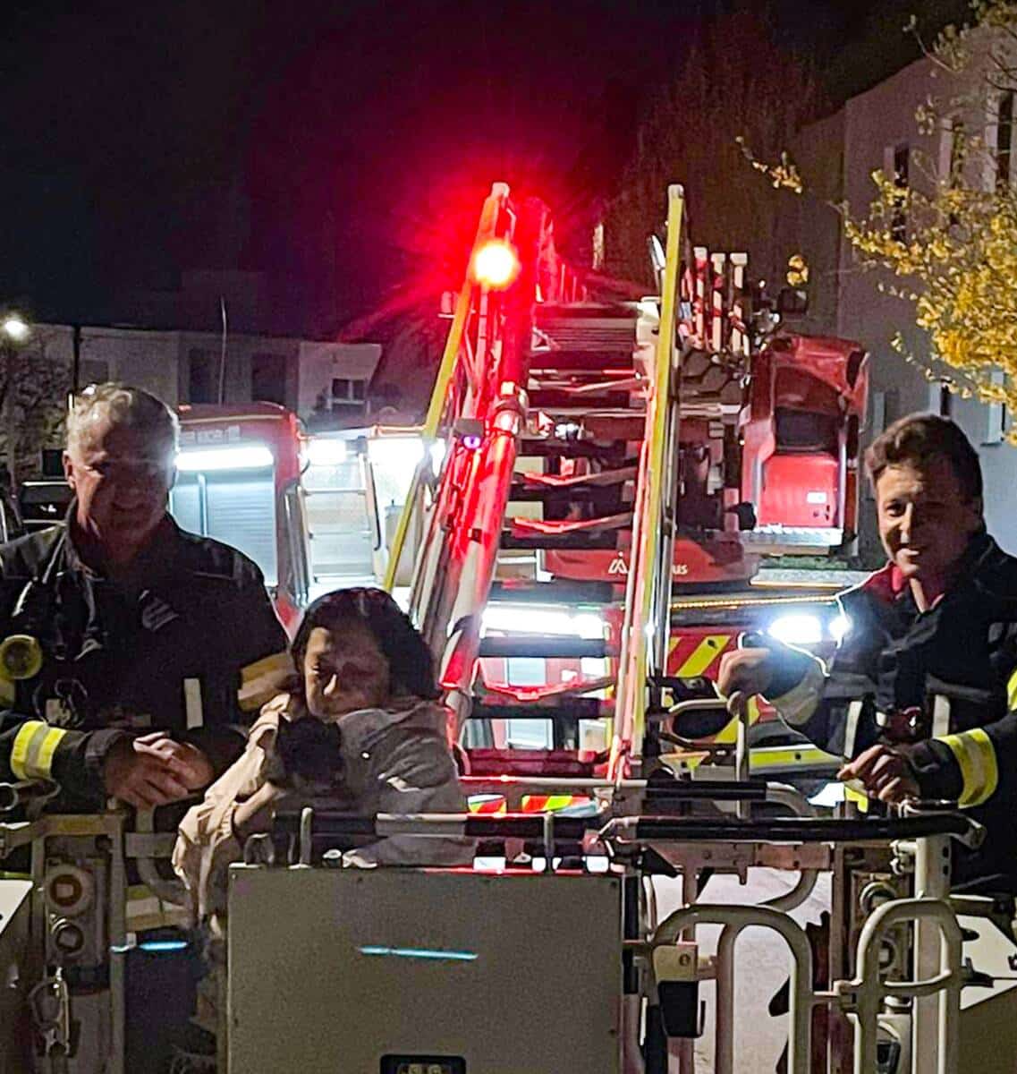 Katze Chocco in Not (Allach-Untermenzing)