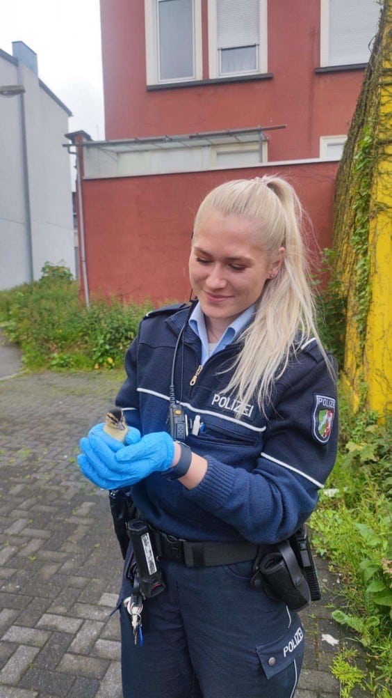 Foto: KPB Mรคrkischer Kreis