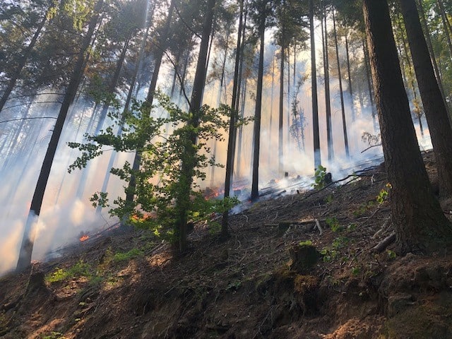 Waldbrand