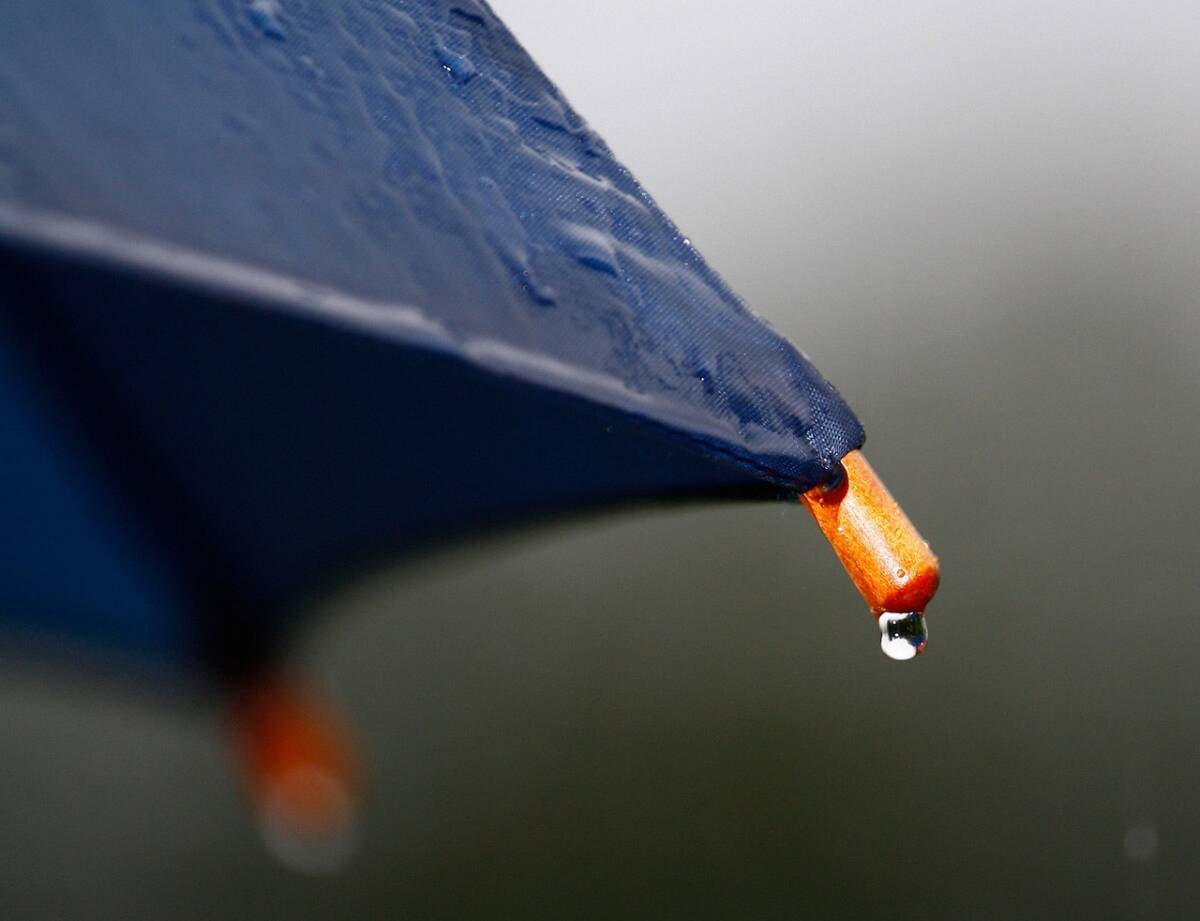 rain-1514257_1280