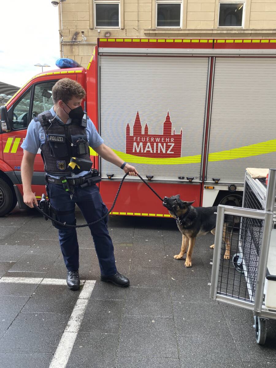 Sichergestellter Hund