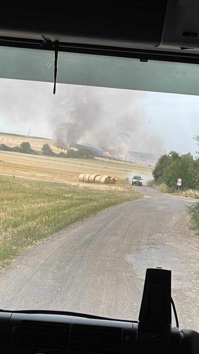 PHOTO-2022-07-21-10-21-36