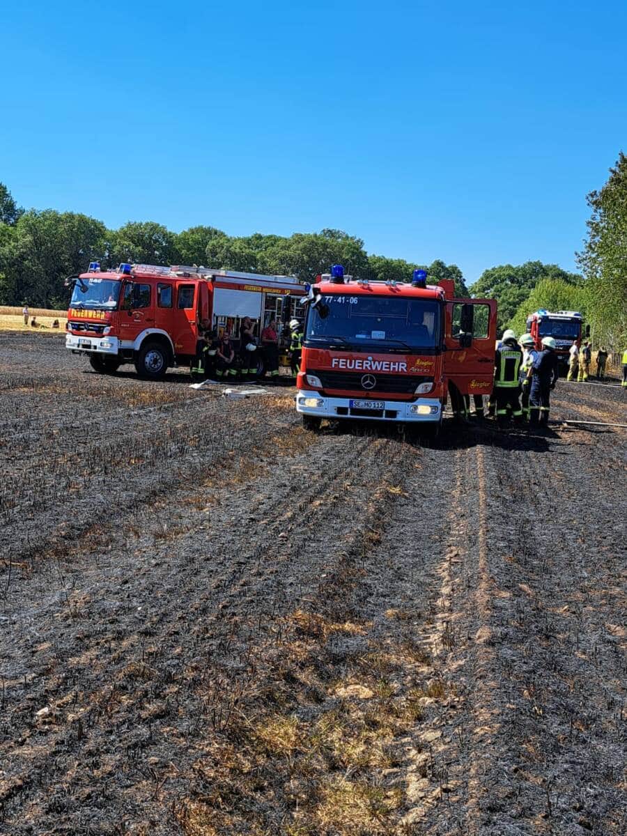 Flächenbrand Weddelbrook 12.08.22