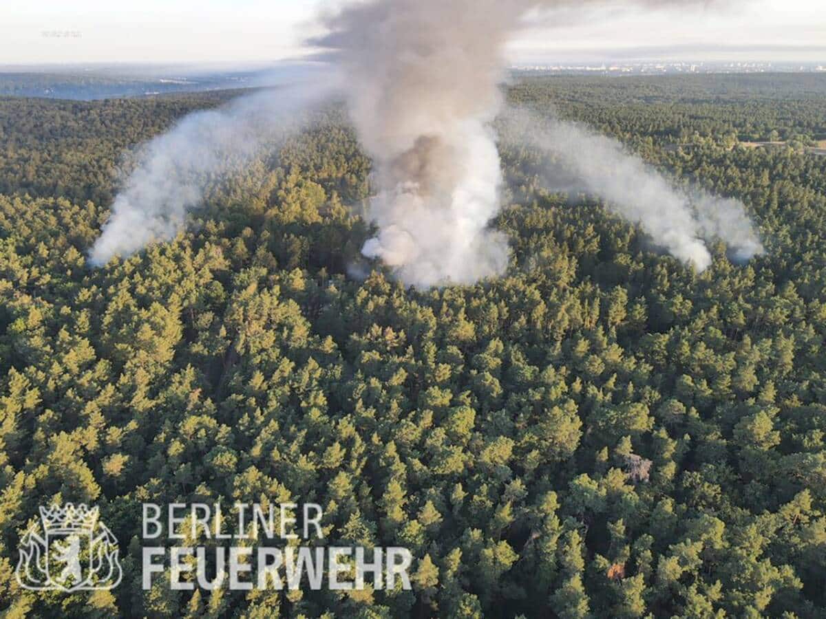 grunewald-feuerwehr-berlin-feuer