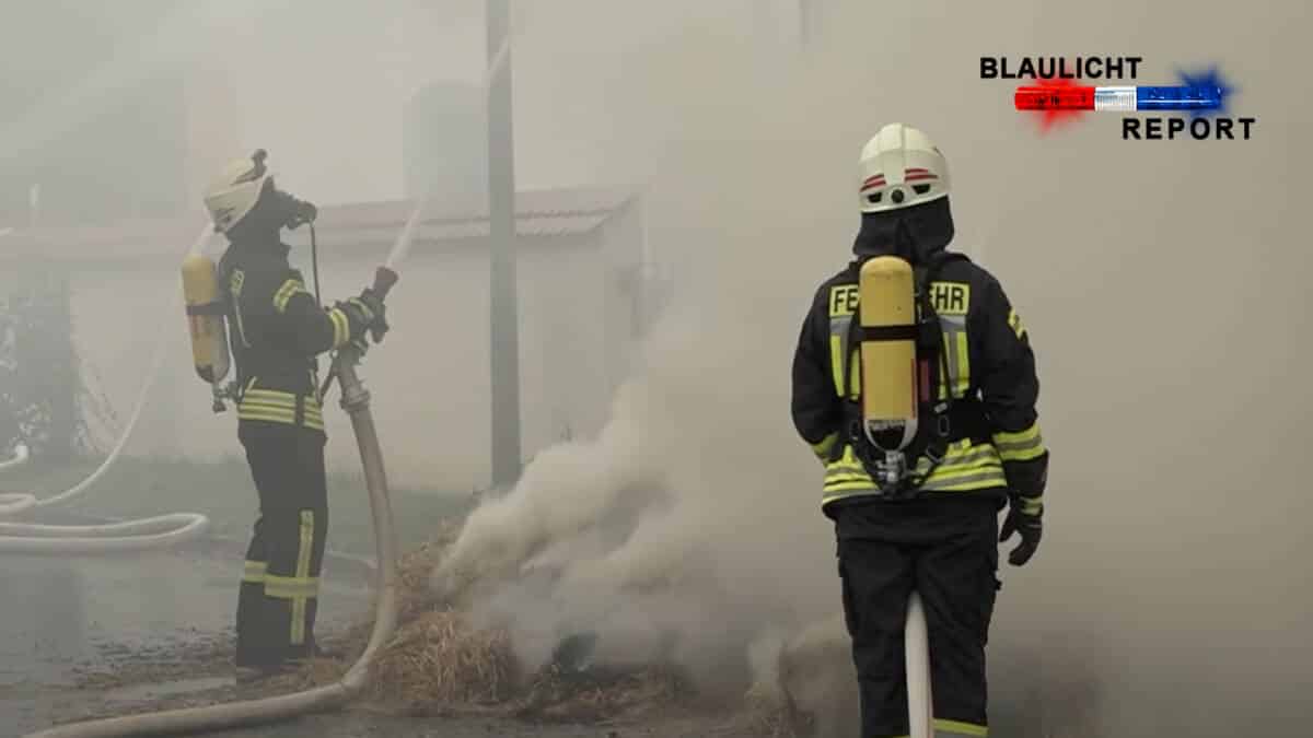 Brand