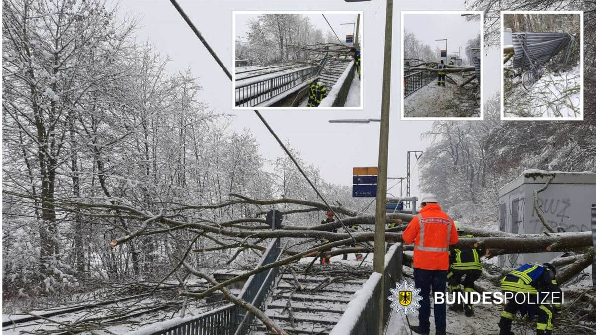 Ein Baum kippt auf den Bahnsteig und reißt die Oberleitung herunter.