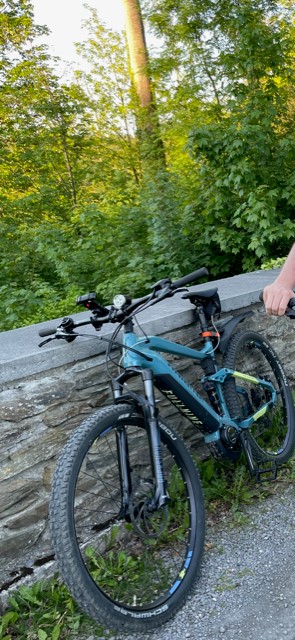 entwendetes E-Bike