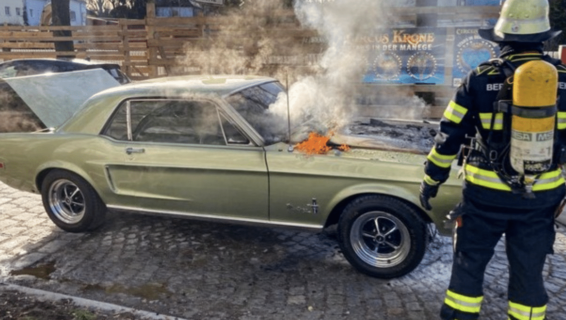 Mustang Feuer