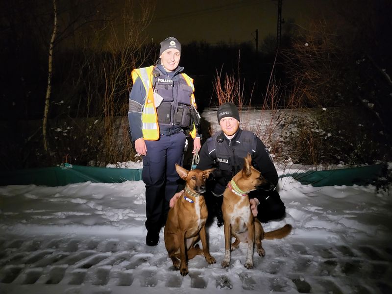 230124_14_Hunde