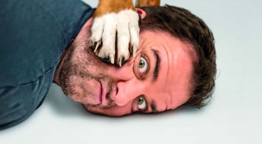 211008_Plakat_Final_CMYK.indd