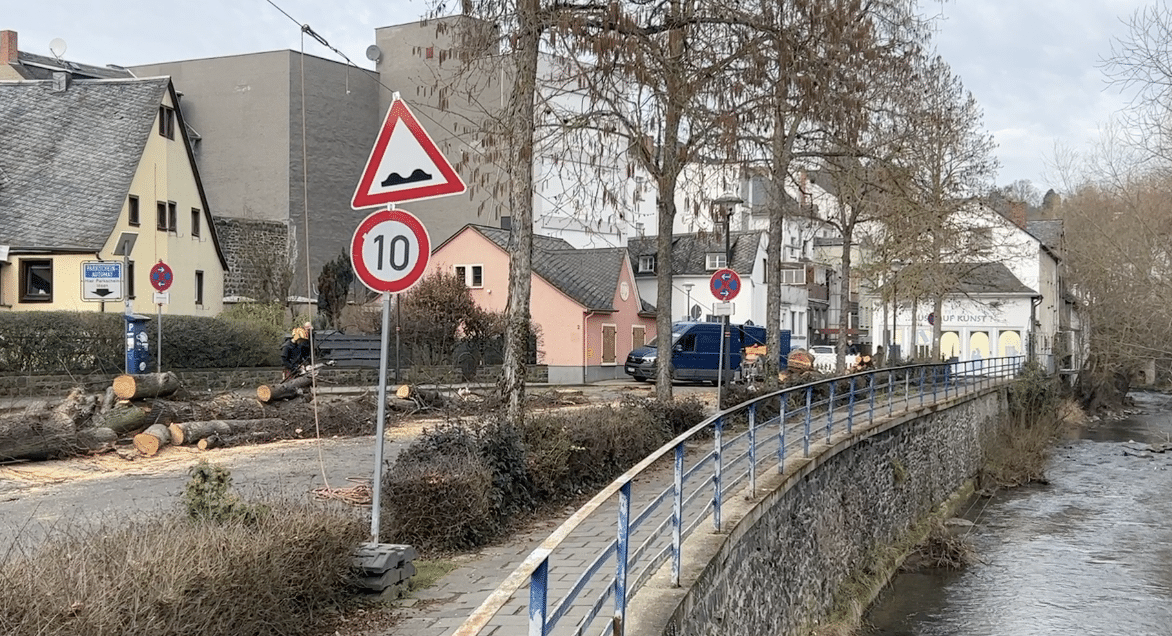 Baumfällung in Mayen - Linden gefällt - Wasserpfördchen