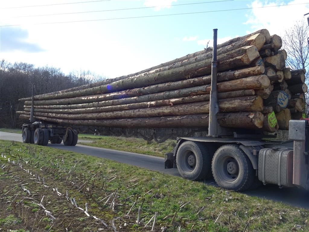Holztransportmit5445t