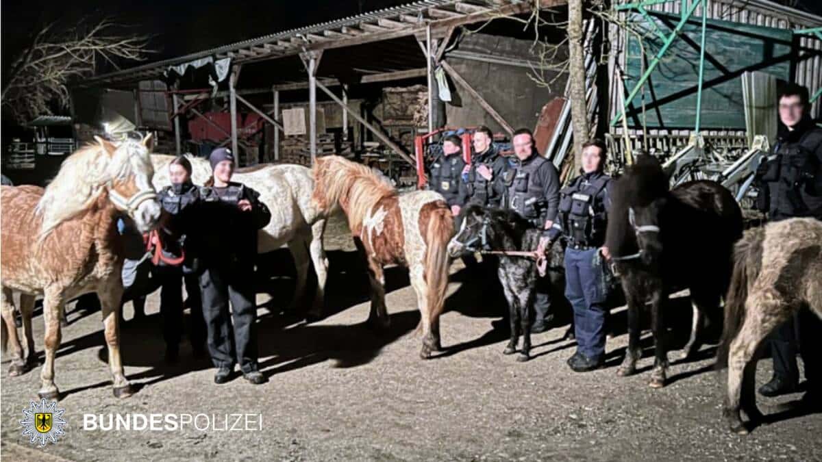 230309_Pferde_Mammendorf