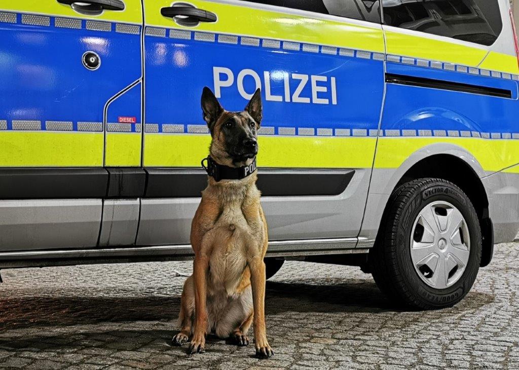 Vermisstensuche in Vallendar