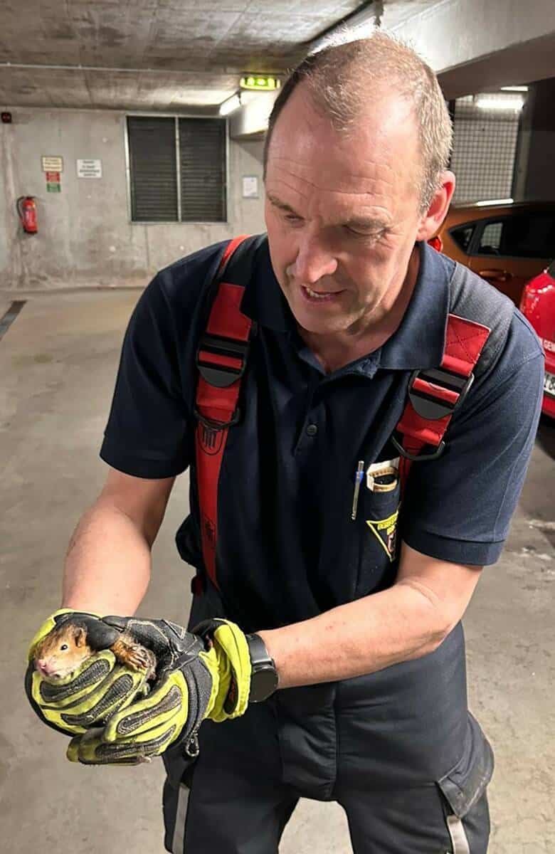 Einsatzfoto Berufsfeuerwehr München