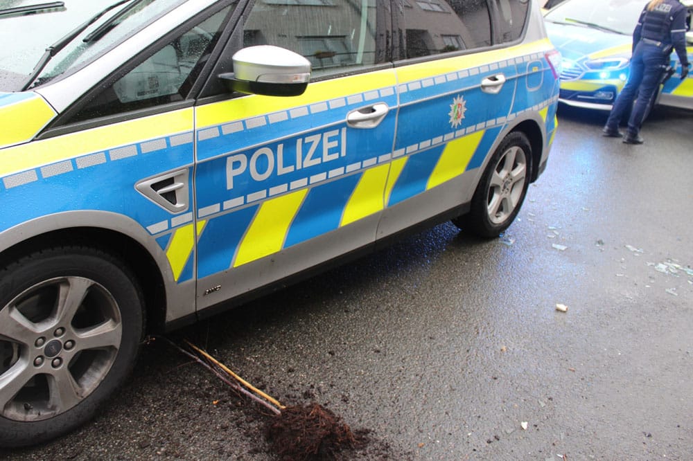 Streifenwagen nach Bewurf (Scherben und Pflanze)