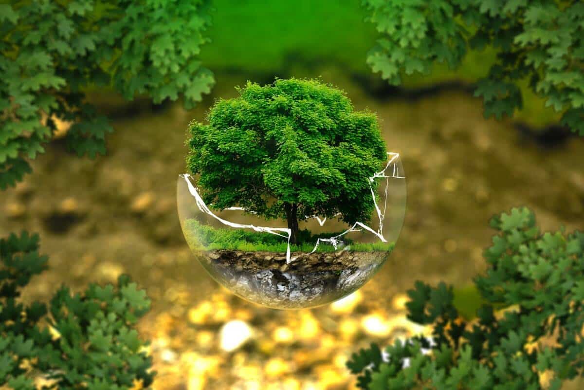 environmental-protection-g5d8b53f85_1280