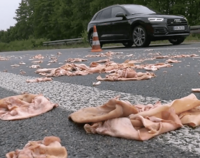 A 33 Schlachtabfälle Autobahn