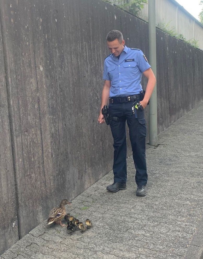 Polizist mit Entenfamilie