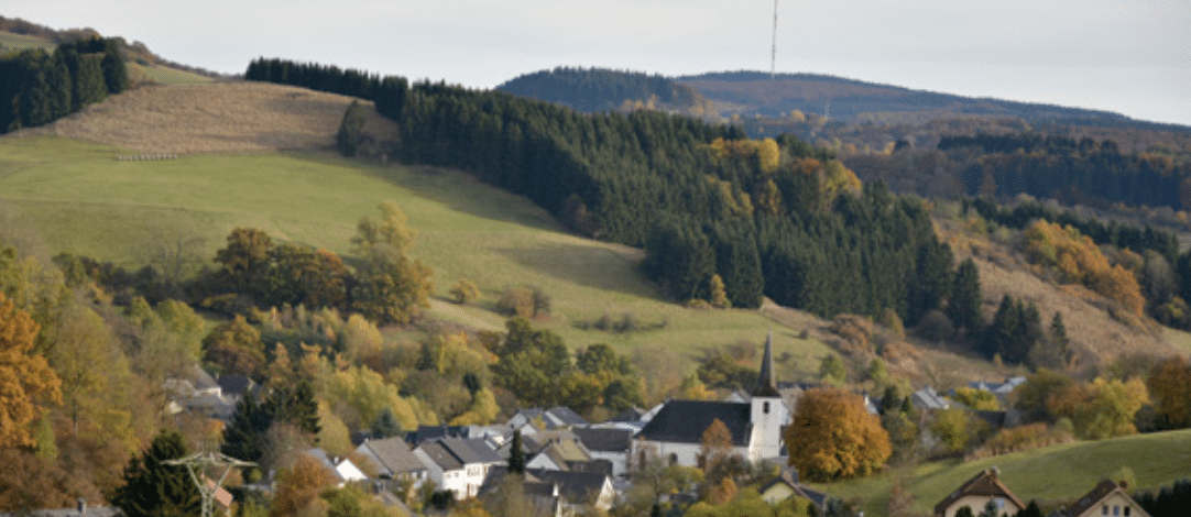 Wald Aktenzeichen xy Steffen Braun