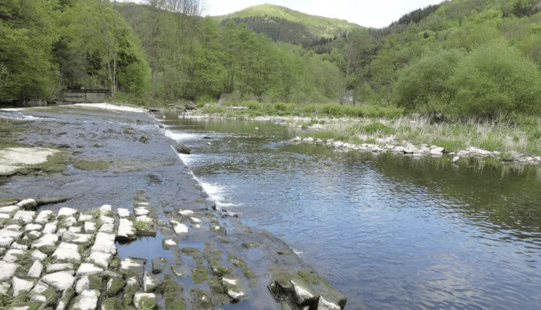 Lenne Fluss Ufer