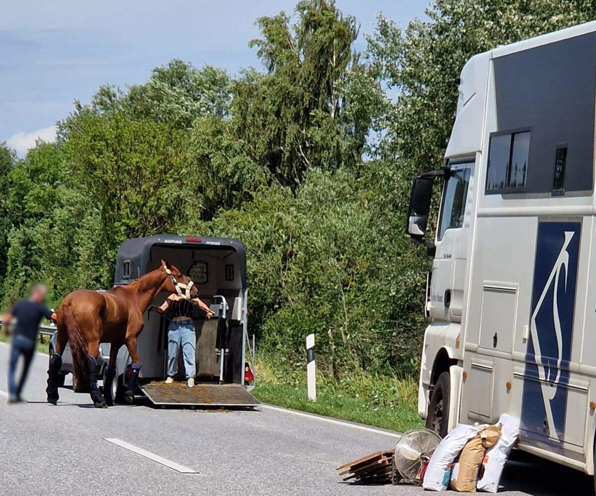 Unfall Pferdeanhänger