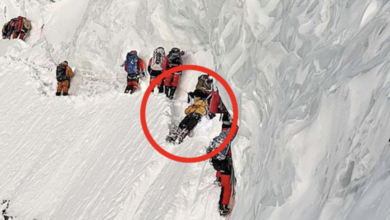 K2 Bergsteiger tot