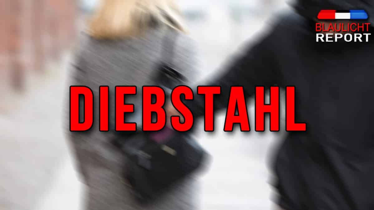 DIEBSTAHL2