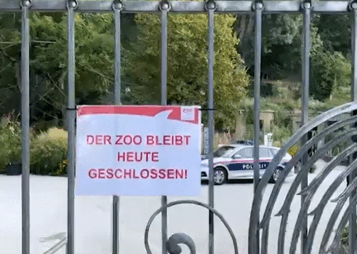 salzburger Zoo Tierpflegerin (33) von Nashorn im Zoo getötet