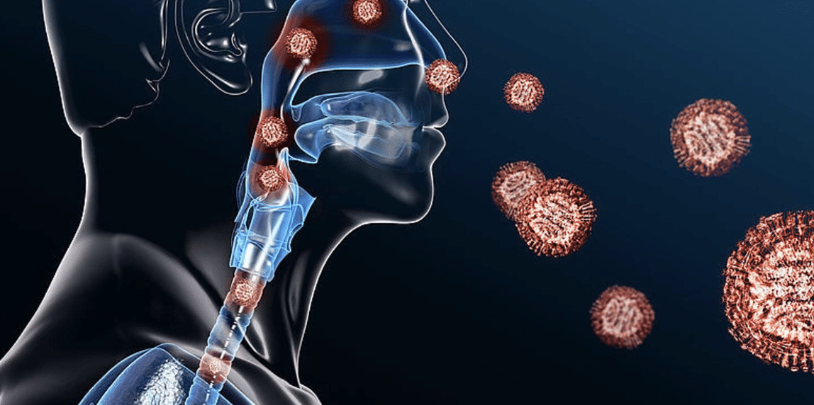 Tuberkolose RLP Test