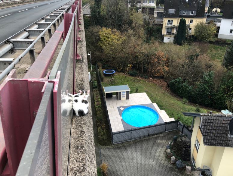 Rettung einer Katze in 30 Meter Höhe