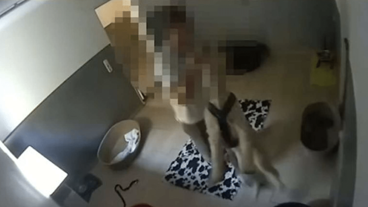 PETA München Hundepension