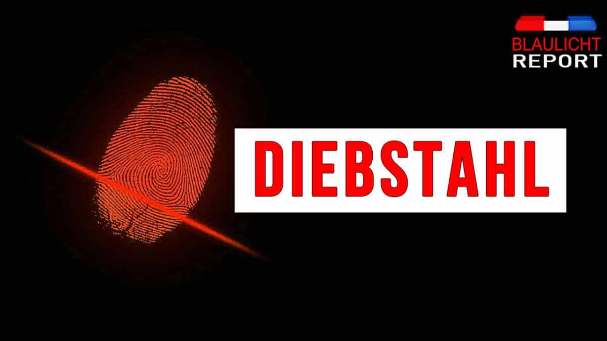 diebstahl Kennzeichen