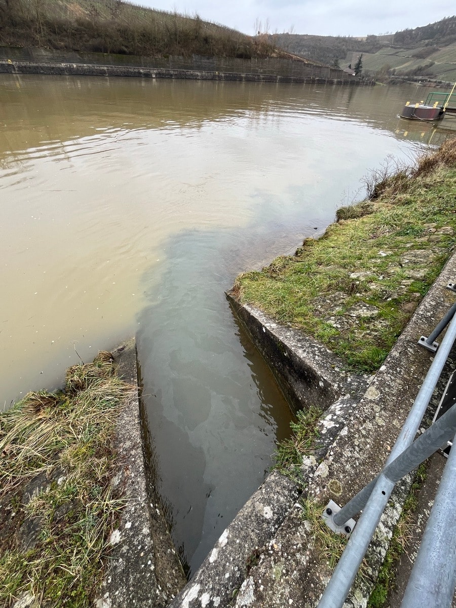 Einleiter "Nittelerbach"