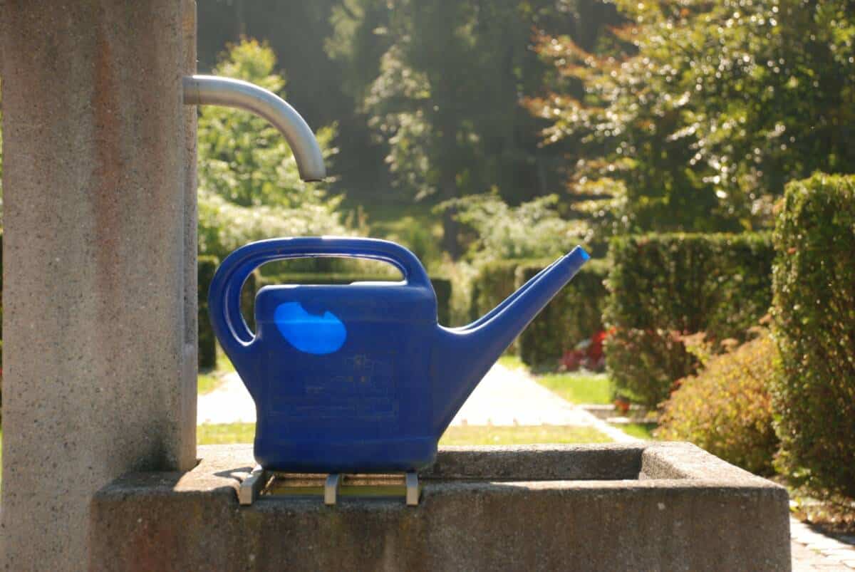 Friedhof_Wasser