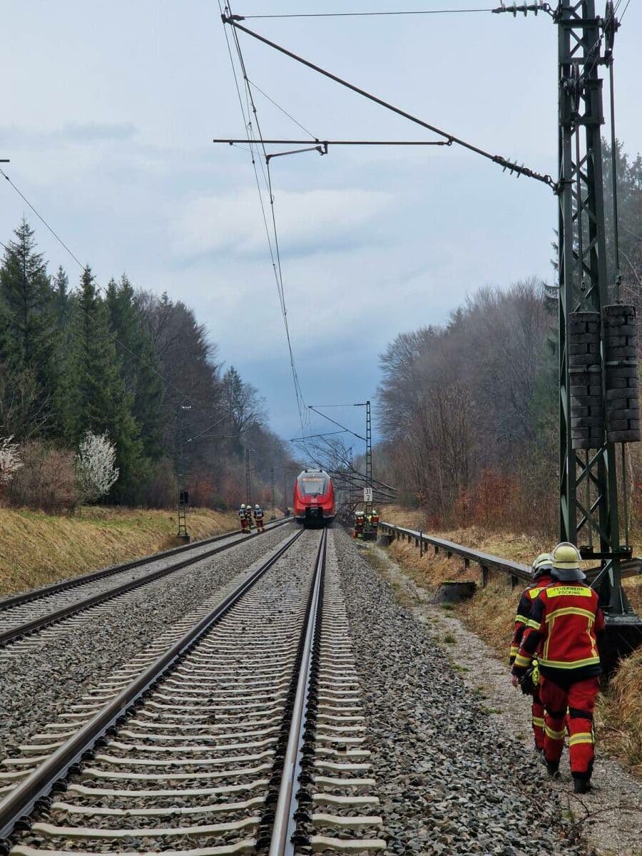 Zug kollidiert mit Baum
