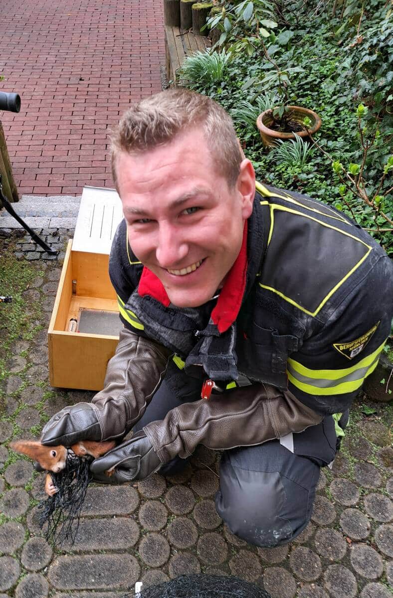 Eichhörnchen in Not